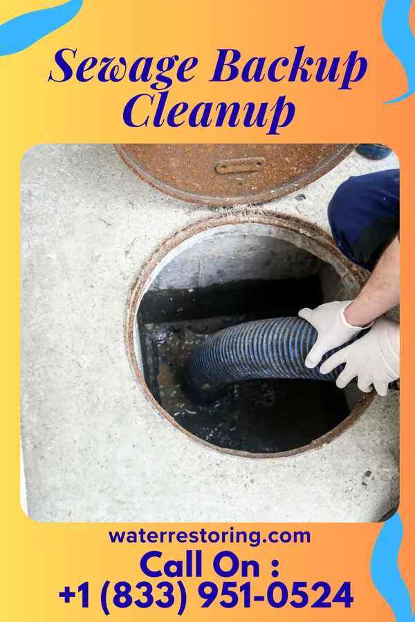 Sewage Backup Cleanup in Jeromesville, OH