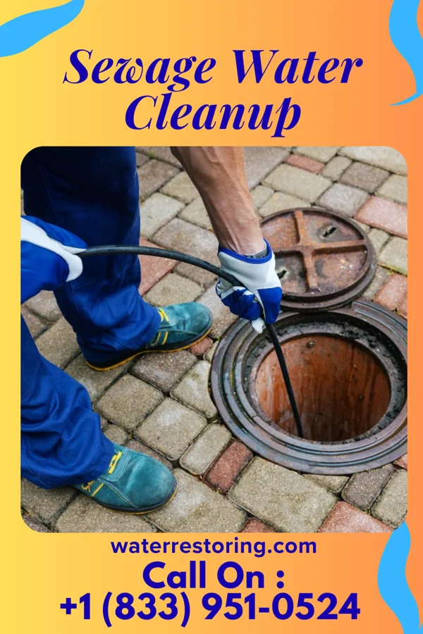 Sewage Water Cleanup in Jeromesville, OH